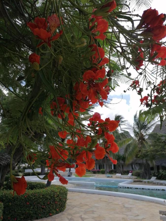 Coral Key Villa Malindi Exterior photo
